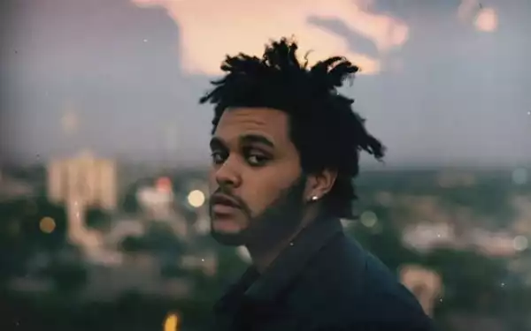 The Weeknd and His Net Worth (2017)